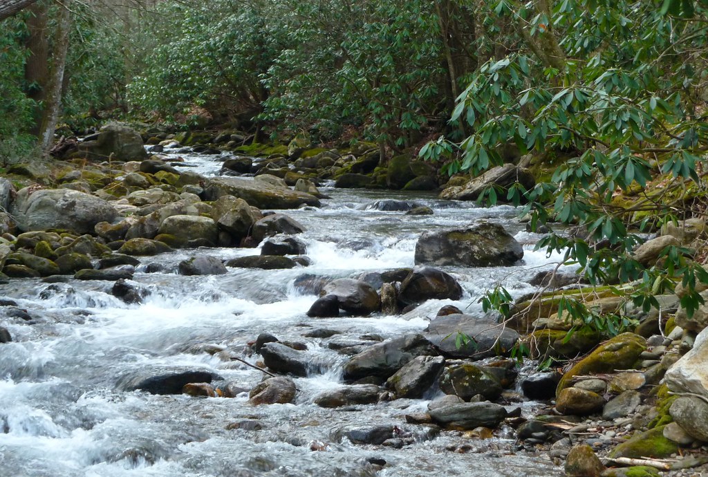 $1.5M in state funding to help restore Pigeon River in Cocke County after Helene devastation